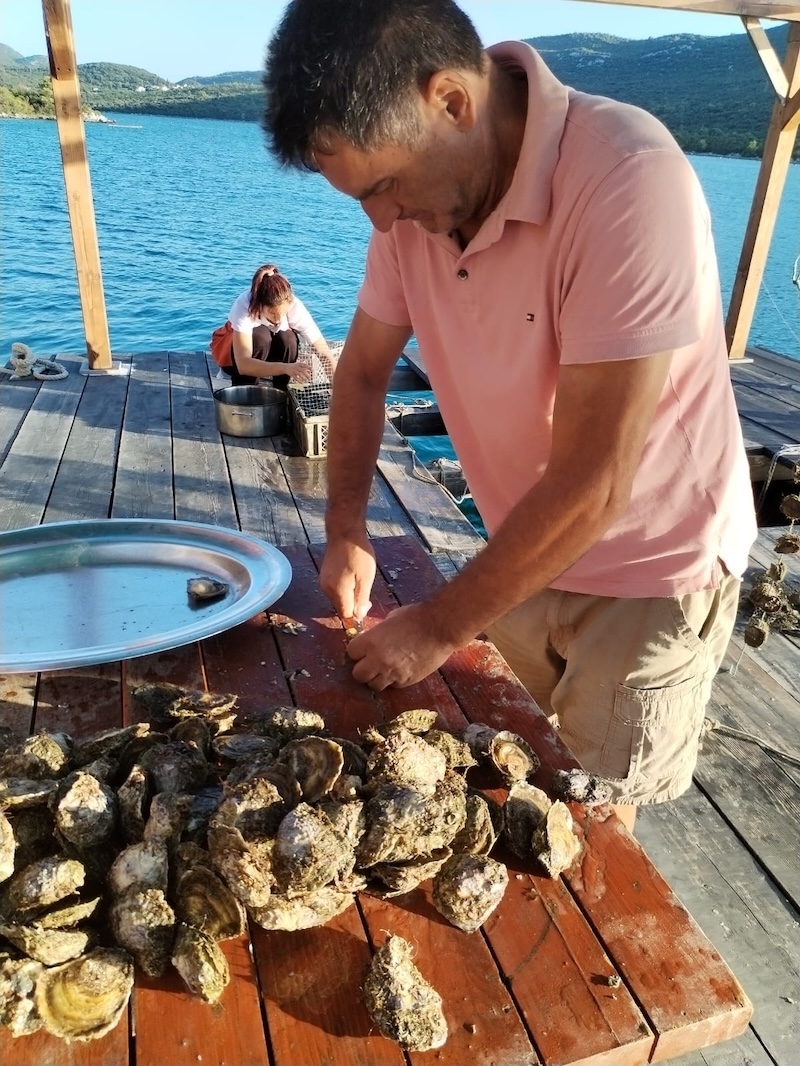 Slano & Oysters